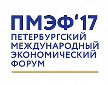 Артем Глотов принял участие в работе XXI Петербургского международного экономического форума