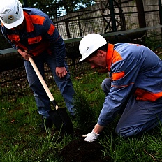 Сотрудники ОАО «Мобильные ГТЭС» в преддверии Дня Победы посадили молодые деревья на энергообъектах
