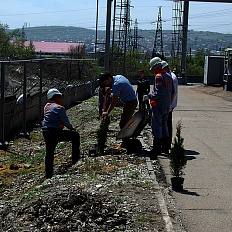 Сотрудники ОАО «Мобильные ГТЭС» в преддверии Дня Победы посадили молодые деревья на энергообъектах